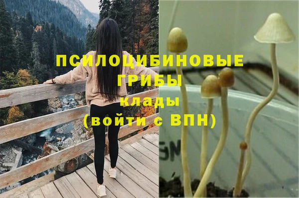 шишки Балахна