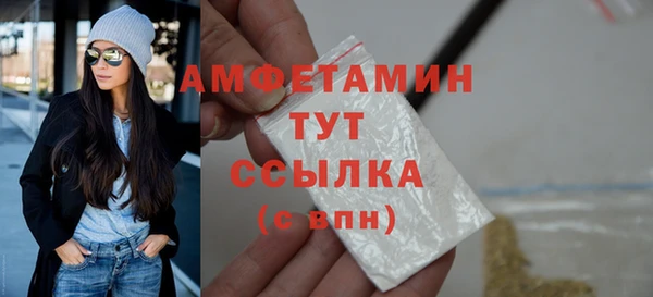 шишки Балахна