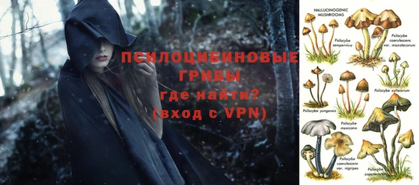 гидропоника Белоозёрский