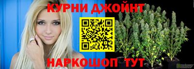 стаф Балахна