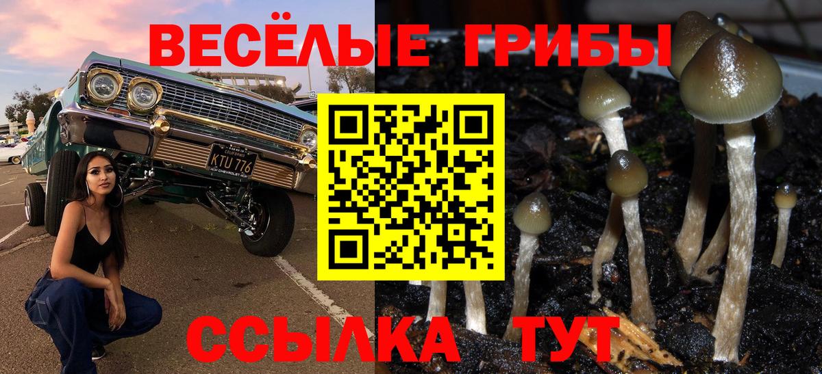 Галлюциногенные грибы ЛСД Верхняя Пышма