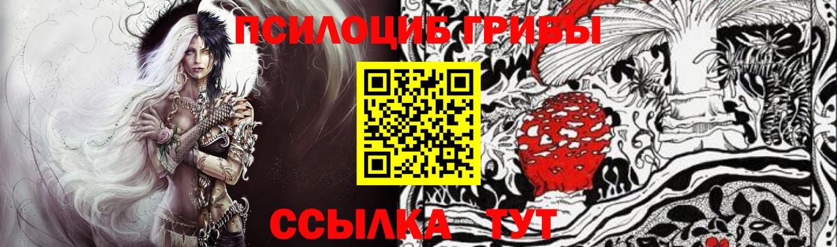 купить  сайты  Вход с VPN  Верхняя Пышма  Галлюциногенные грибы Psilocybine cubensis 