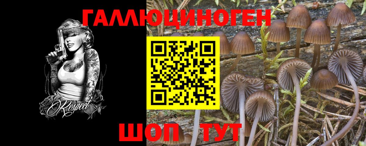 Галлюциногенные грибы мухоморы Верхняя Пышма